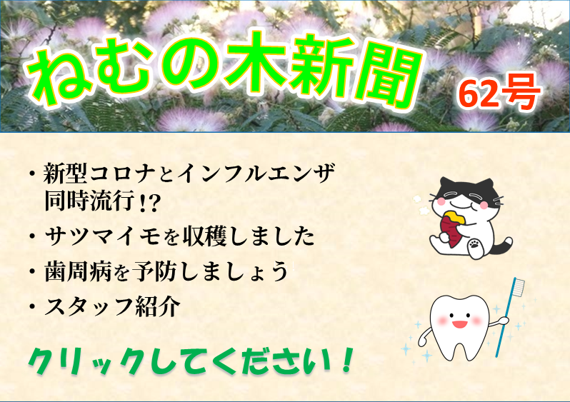 ねむの木新聞62号案内